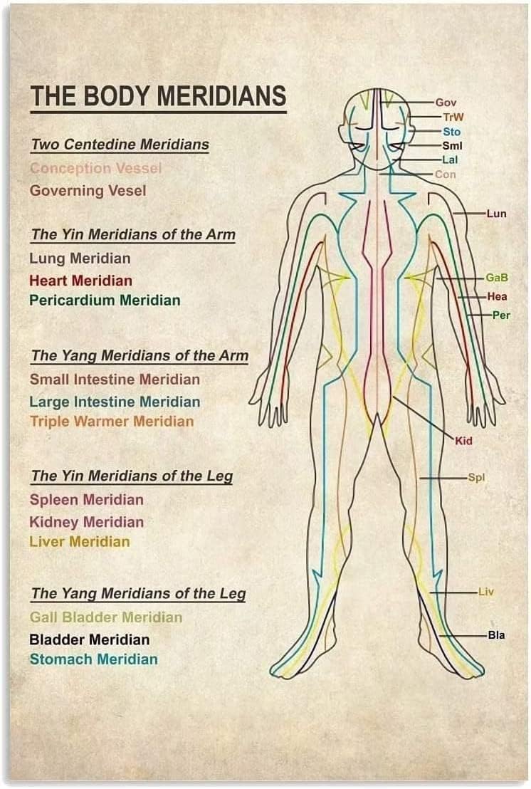 Home Gym Guide - Vintage Metal Signs The Body Meridians