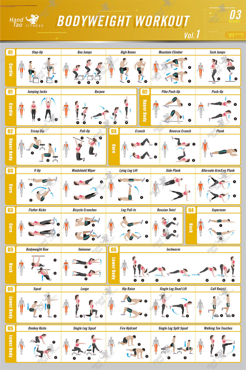 Home Gym Guide - Bodyweight workout Exercise BodyBuilding Guide Fitness
