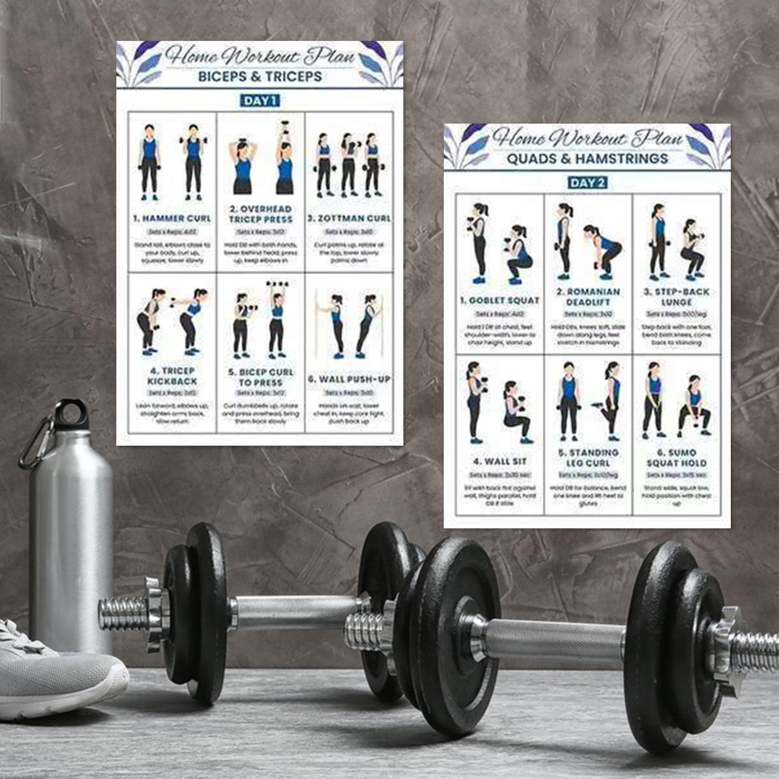 Workout Chart Full Body Comple - Home Gym Routine 评论和价格