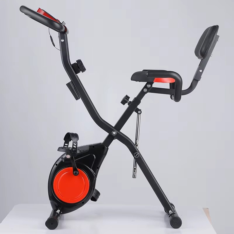 Home Gym Magnetron Exercise Bi - Home Gym Routine 评论和价格