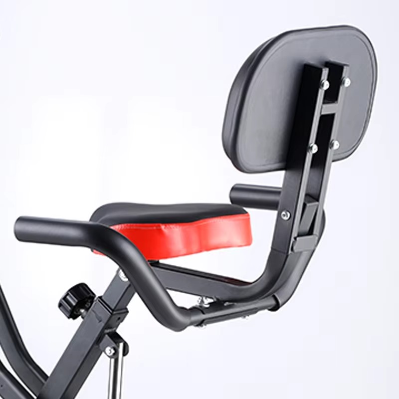 Home Gym Magnetron Exercise Bi - Home Gym Routine 评论和价格