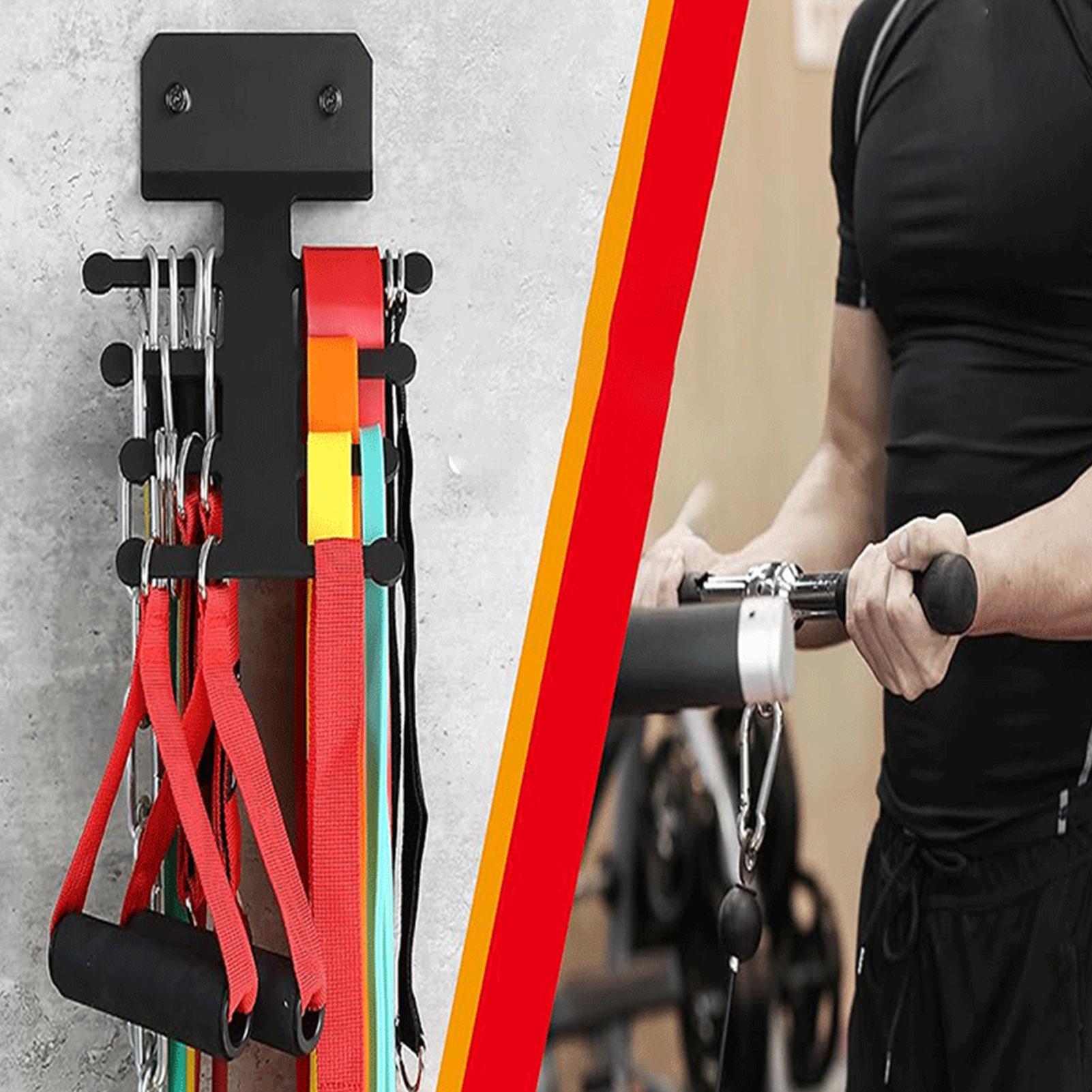 Gym Wall Storage Metal Heavy D - Home Gym Routine 评论和价格