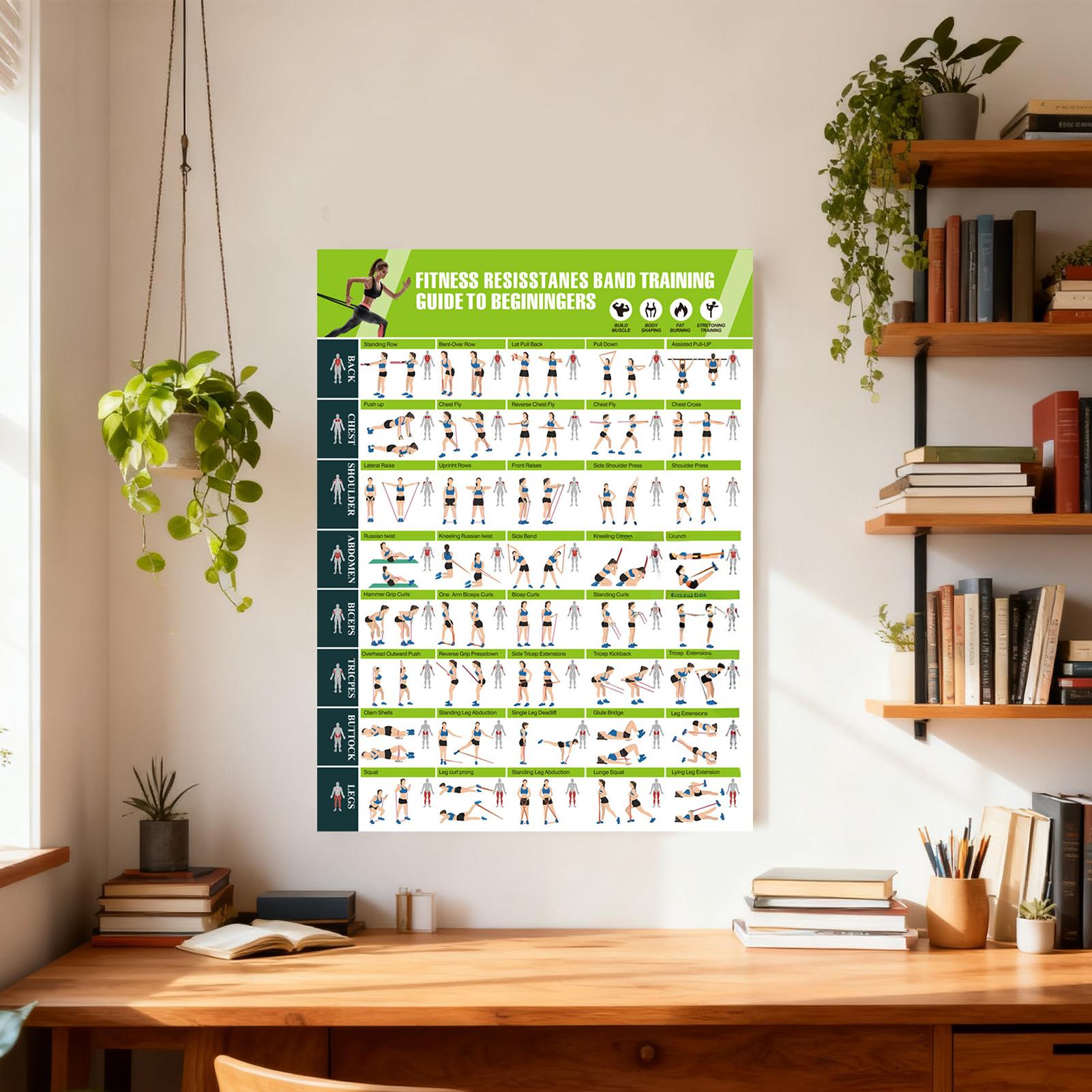 Workout Posters with Resistanc - Home Gym Guide 评论和价格