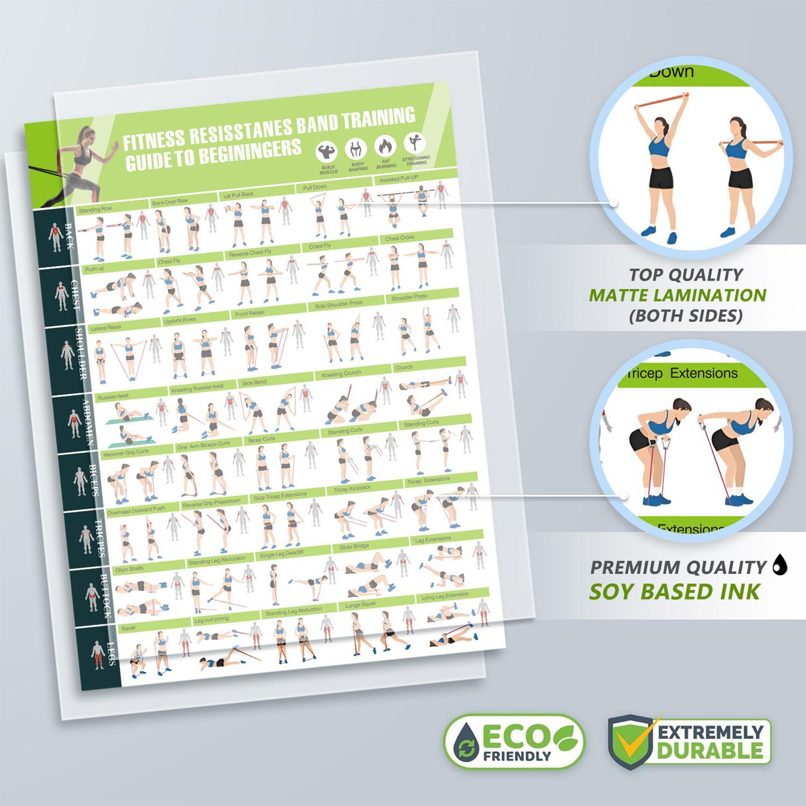 Workout Posters with Resistanc - Home Gym Guide 评论和价格