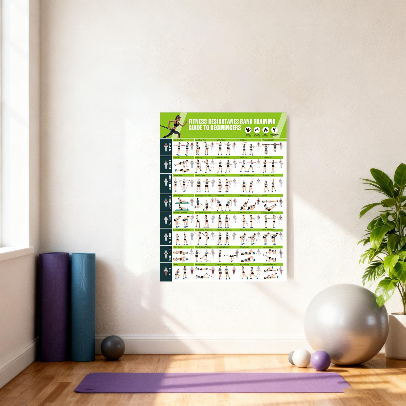 Workout Posters with Resistanc - Home Gym Guide 评论和价格