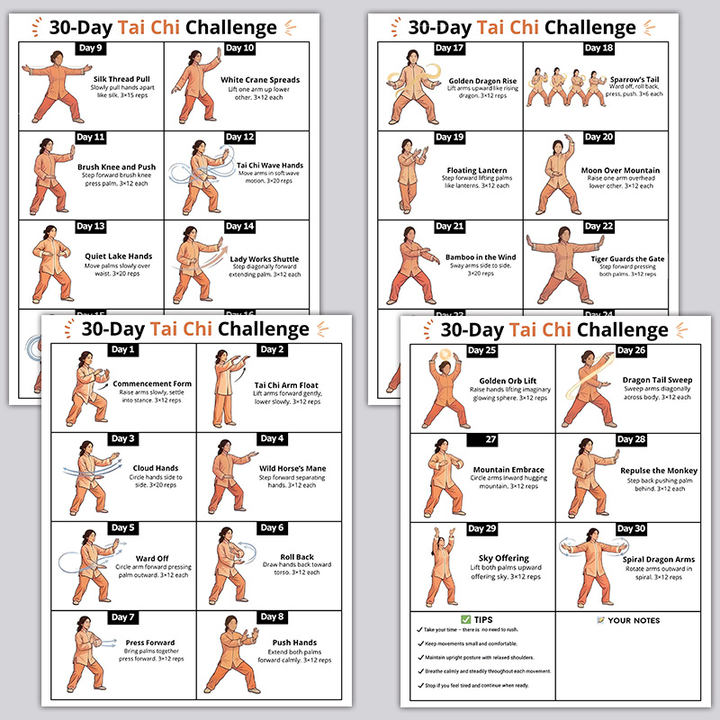 4pcs 30-Day Tai Chi Challenge  - Home Gym Routine 评论和价格