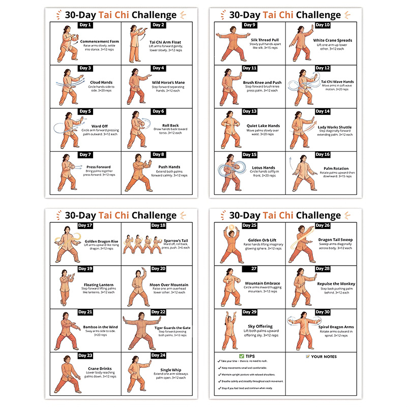 4pcs 30-Day Tai Chi Challenge  - Home Gym Routine 评论和价格