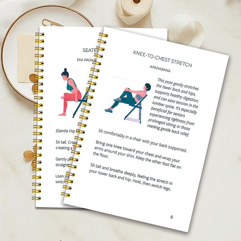 30 Day Chair Yoga Weight Loss  - Home Gym Guide 评论和价格