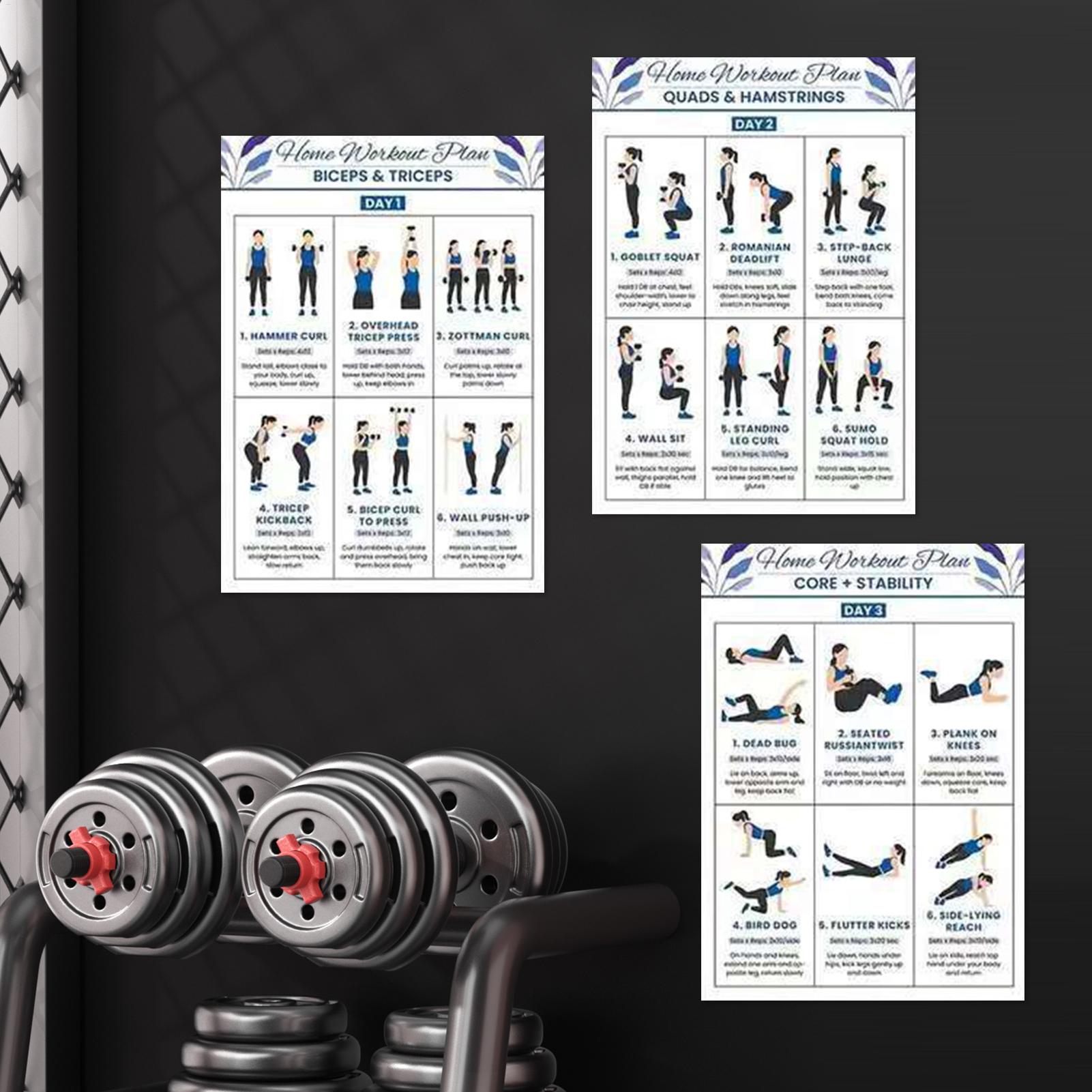 6pcs Yoga Dumbbell Stretching  - Home Gym Guide 评论和价格