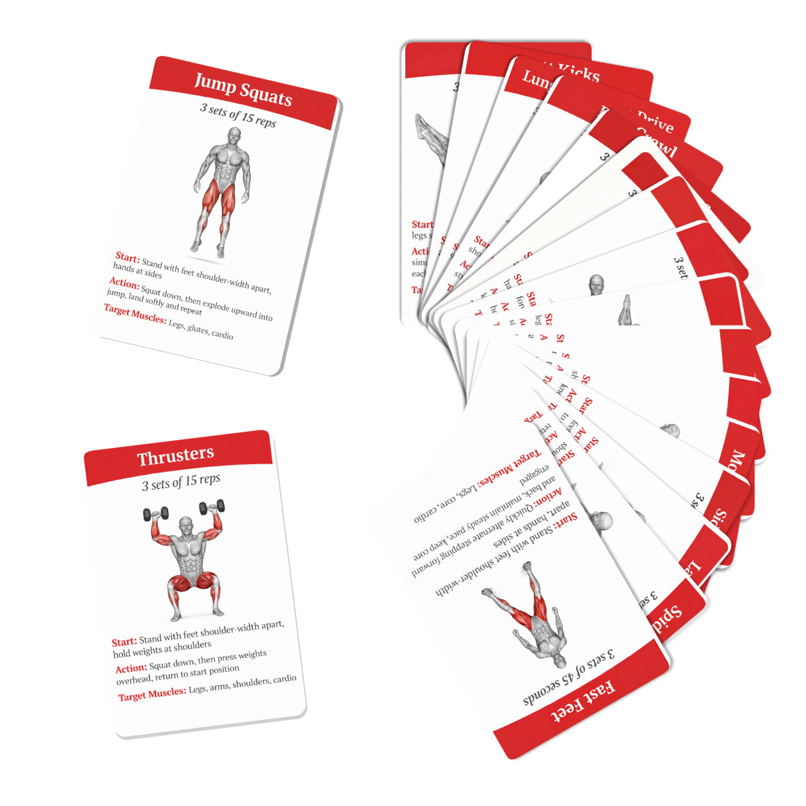 36Pcs Full Body Fat Burning Wo - Home Gym Guide 评论和价格